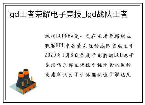 lgd王者荣耀电子竞技_lgd战队王者