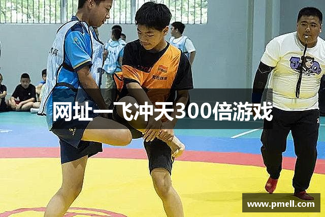 网址一飞冲天300倍游戏
